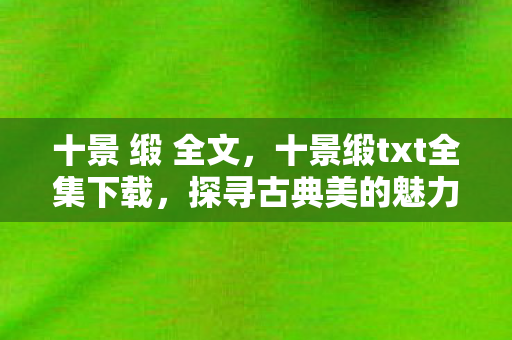 十景缎txt全集下载图片
