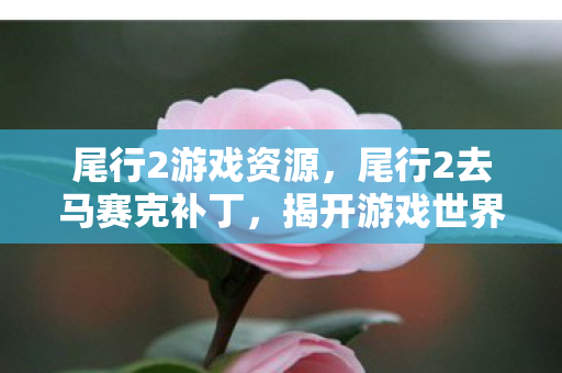 尾行2去马赛克补丁图片