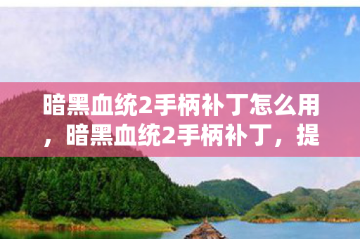 暗黑血统2手柄补丁怎么用图片