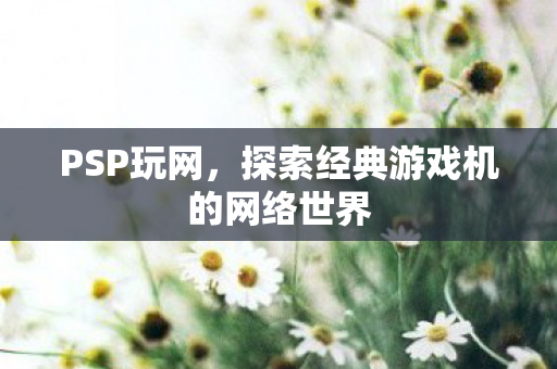 探索经典游戏机的网络世界图片