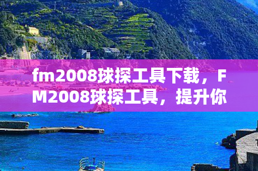 fm2008球探工具下载图片