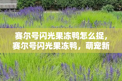 赛尔号闪光果冻鸭怎么捉图片