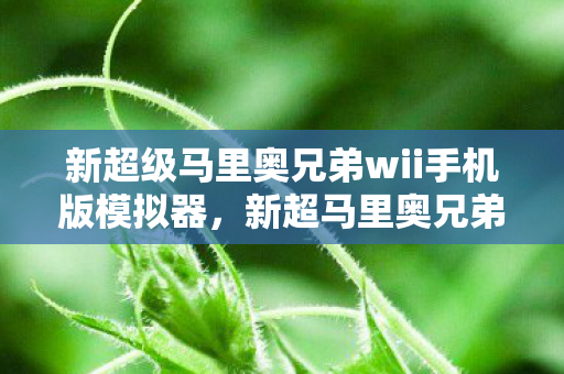 新超级马里奥兄弟wii手机版模拟器图片