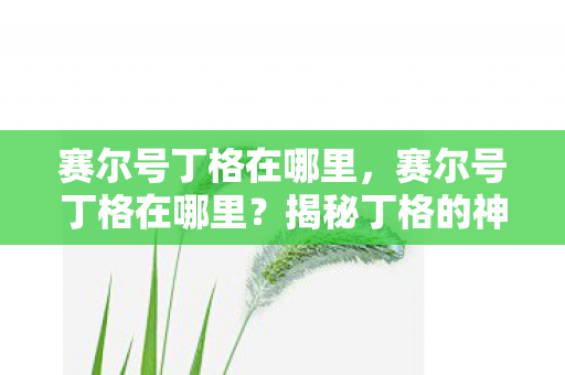 揭秘丁格的神秘位置图片