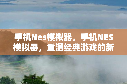 重温经典游戏的新途径图片