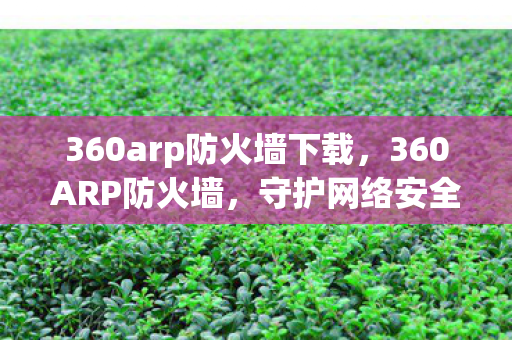 360arp防火墙下载图片