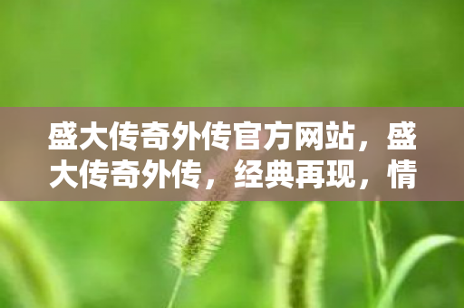 盛大传奇外传官方网站图片