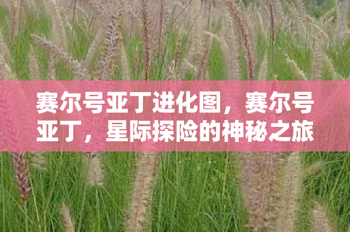 星际探险的神秘之旅图片