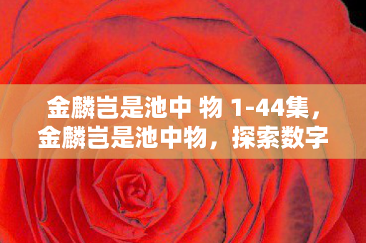 探索数字时代的无限可能图片