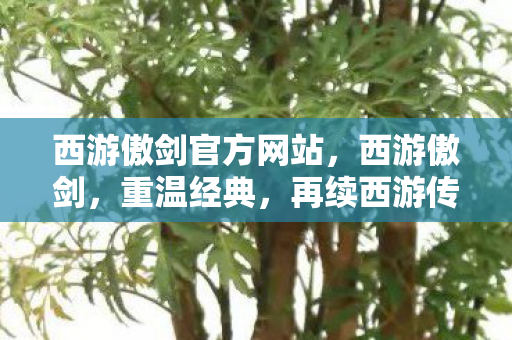 西游傲剑官方网站图片