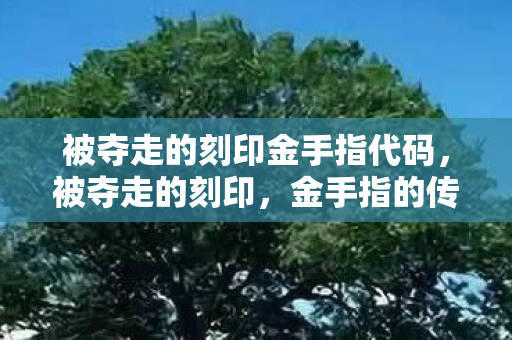 被夺走的刻印金手指代码图片