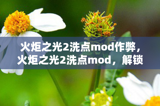 火炬之光2洗点mod作弊图片