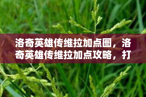 洛奇英雄传维拉加点攻略图片