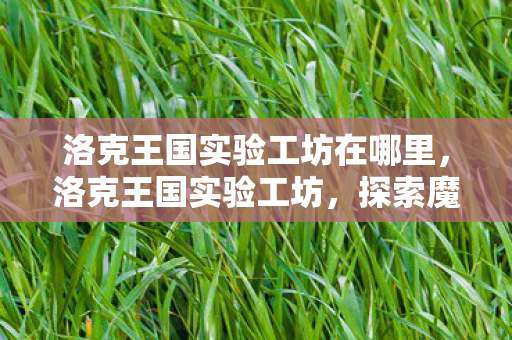 洛克王国实验工坊在哪里，洛克王国实验工坊，探索魔法与科学的奇妙融合