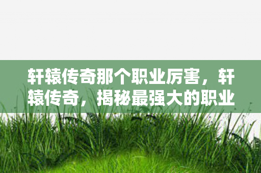 轩辕传奇那个职业厉害图片