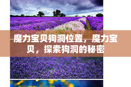 魔力宝贝狗洞位置，魔力宝贝，探索狗洞的秘密
