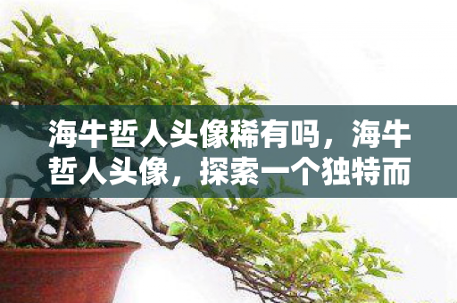 探索一个独特而富有深意的形象图片