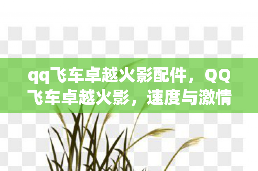 qq飞车卓越火影配件，QQ飞车卓越火影，速度与激情的极致融合