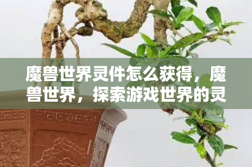 探索游戏世界的灵件与神秘力量图片