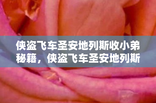 侠盗飞车圣安地列斯收小弟秘籍图片