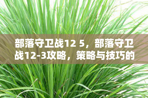 策略与技巧的全面解析图片