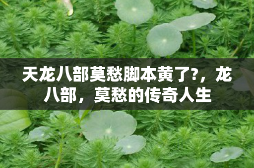 天龙八部莫愁脚本黄了图片