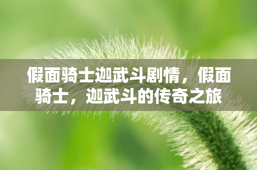 假面骑士迦武斗剧情图片