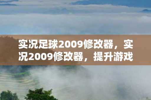 实况足球2009修改器图片