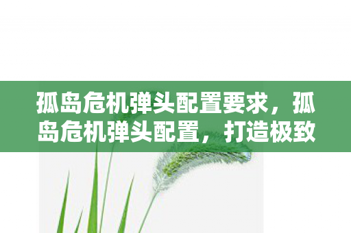 孤岛危机弹头配置要求图片