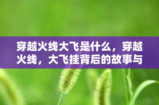 大飞挂背后的故事与反思图片