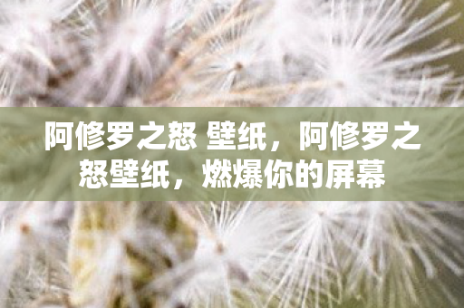 阿修罗之怒 壁纸图片