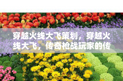 传奇枪战玩家的传奇故事图片