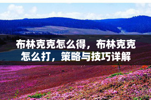 布林克克怎么得图片