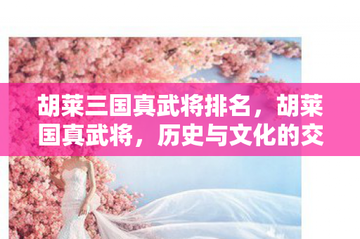 胡莱三国真武将排名图片