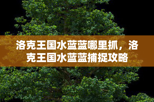 洛克王国水蓝蓝捕捉攻略图片