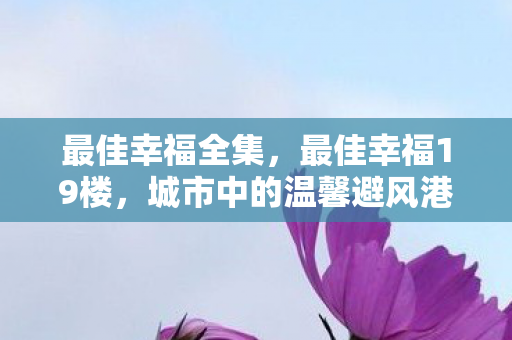 城市中的温馨避风港图片