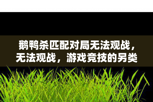 鹅鸭杀匹配对局无法观战图片