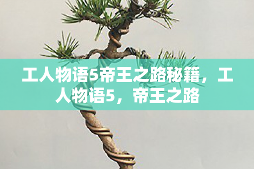 工人物语5帝王之路秘籍图片