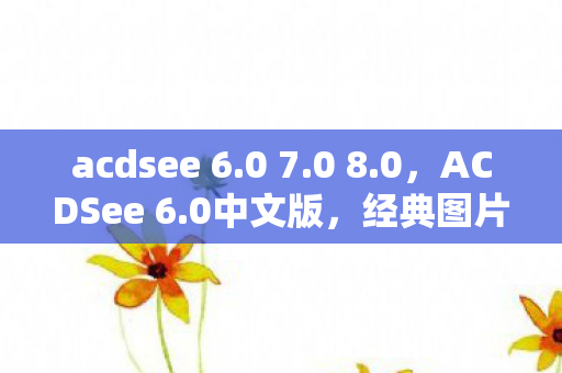 经典图片管理工具的全新体验图片