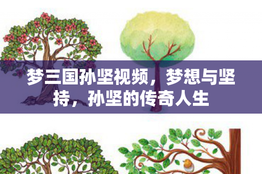 梦三国孙坚视频图片