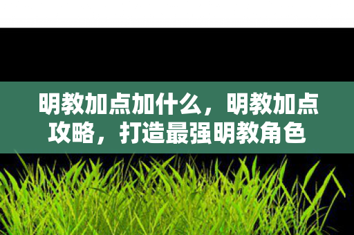 打造最强明教角色图片