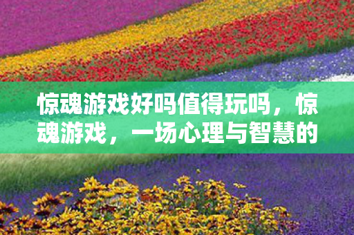 一场心理与智慧的极限挑战图片