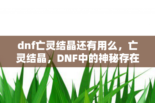 DNF中的神秘存在与探索之旅图片