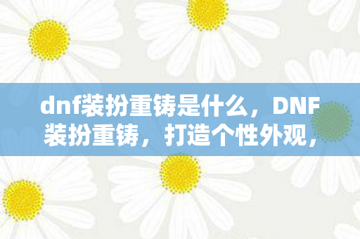 dnf装扮重铸是什么图片