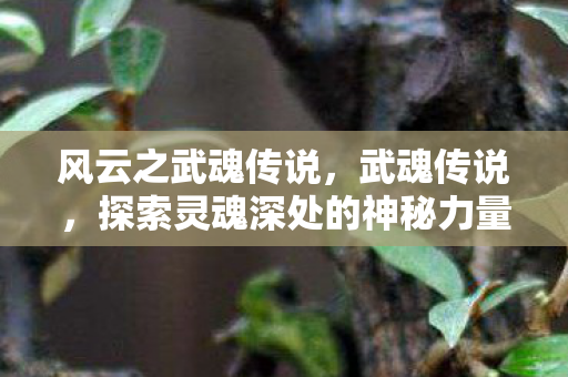 探索灵魂深处的神秘力量图片