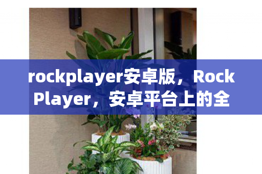 rockplayer安卓版图片