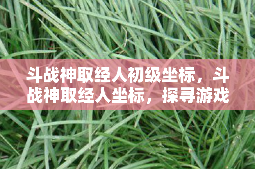 斗战神取经人初级坐标图片