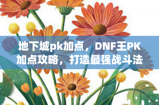 DNF王PK加点攻略图片