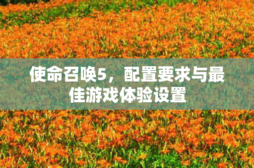 使命召唤5，配置要求与最佳游戏体验设置