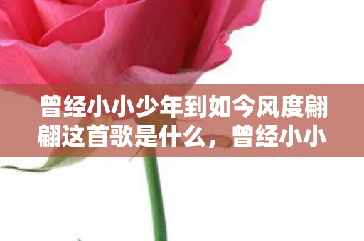 曾经小小少年到如今风度翩翩这首歌是什么，曾经小小少年，如今风度翩翩—岁月之歌